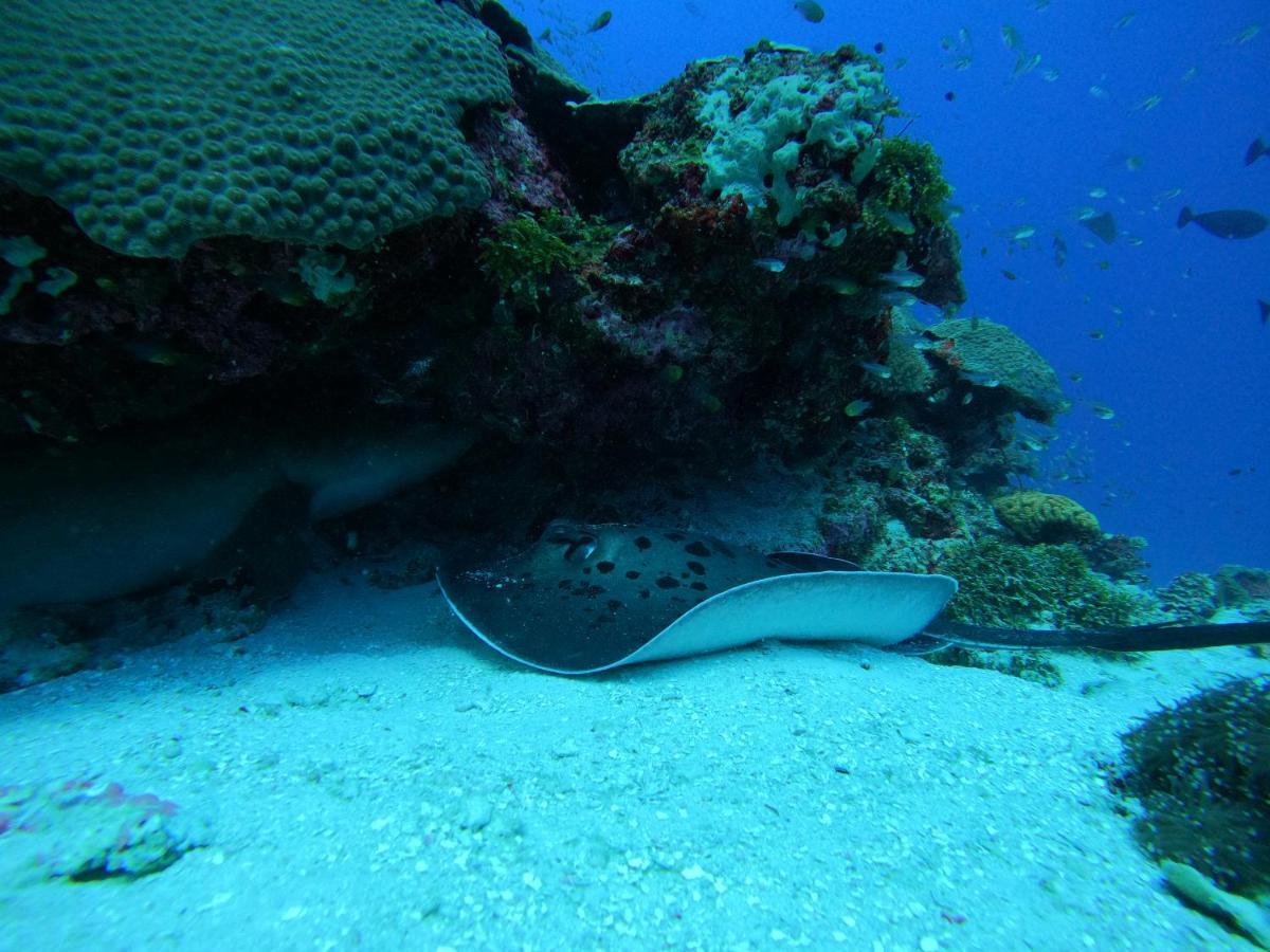 Coral Beach Maldives Hangnaameedhoo Ngoại thất bức ảnh